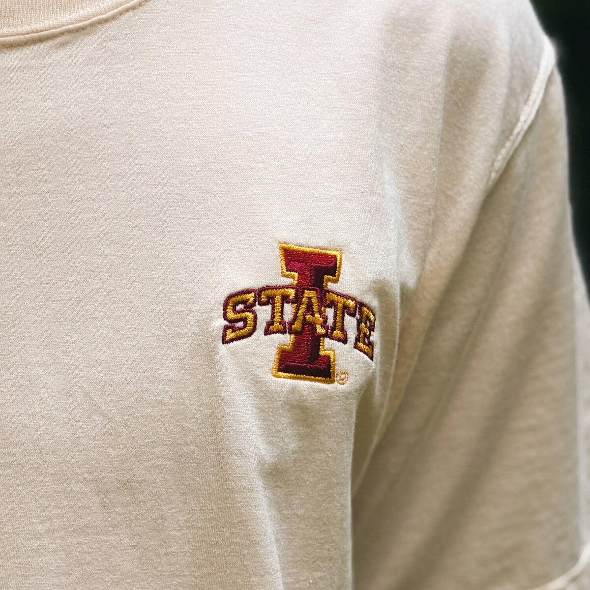 Comfort Wash I-State Cream Short Sleeve T-Shirt design close up